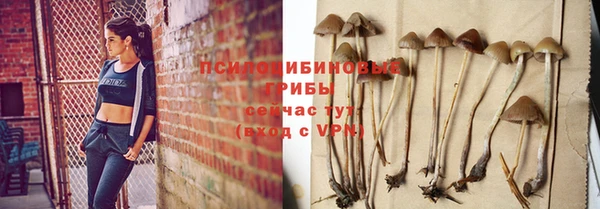 герыч Вязьма