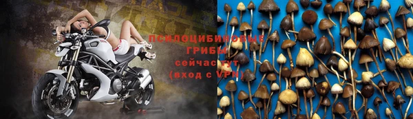 MDMA Вяземский